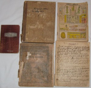 "Papa's Tagebuch" -- 5 notebooks brought by N. for me to transcribe.