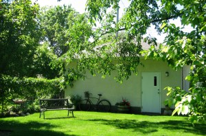 Back yard view (the building is H's shop).