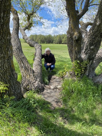 3551E22F-0ADB-4CDE-8B53-75AB5A6A64FC