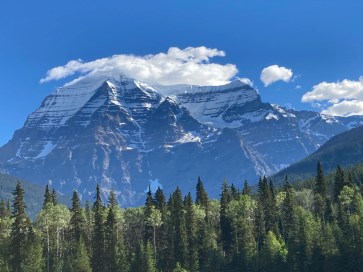 C11E7899-0701-4031-850A-FA458A5FC39C